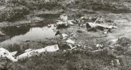 Asisbiz IJAAF Mitsubishi G4M Betty 702NAG 5th and 2nd Chutai destroyed in Lae New Guinea 11th May 1944 01
