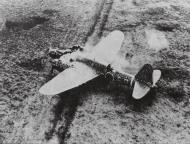 Asisbiz IJAAF Nakajima Ki 49 Donryu Helen caught on the ground at Dagu by B 25 Mitchells New Guinea 22nd Oct 1943 01