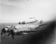 Asisbiz Beaufighter TFX RAF 144Sqn PLT NE664 over the North Sea head back to Dallachy March 1944 IWM MH6450