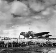 Asisbiz Bristol Beaufighter IVF RAF 153Sqn V8894 at Setif Algeria IWM CNA369