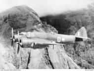 Asisbiz Beaufighter IC RAAF 30Sqn White O A19 15 T4945 RJ Brazenor FB Anderson Owen Stanley Range Mar 1943 AWM P01273