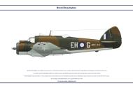 Asisbiz Beaufighter IC RAAF 31Sqn EHG A19 40 SqnLdr RL Gordon Darwin Australia Oct 1943 Clavework Profile 0A