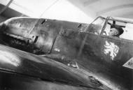 Asisbiz Messerschmitt Bf 109D1 4.ZG141 White 4 Germany 1939 ebay 02