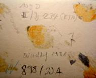 Asisbiz Messerschmitt Bf 109D1 6.JG234 Yellow 10 later in Nov became 6.JG26 Dusseldorf 1938 ebay 04