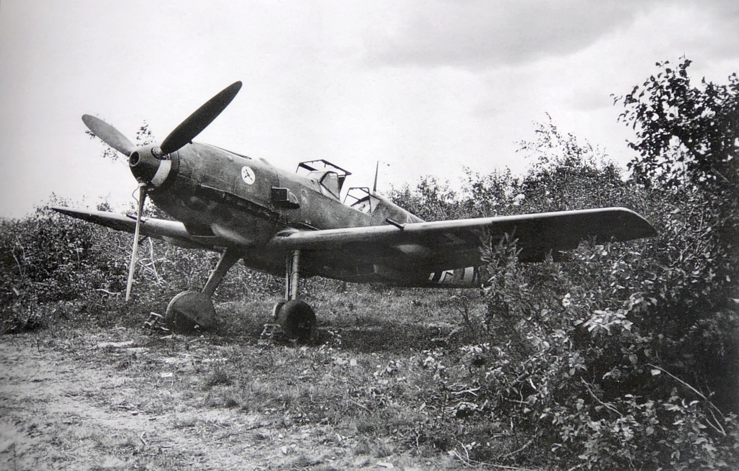 Messerschmitt Bf 109E6 2.(F)33 code 8H+IK Mozhna nr Smolensk Russia end Jul 1941 P139