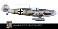 Asisbiz Messerschmitt Bf 109E5R3 3.(F)123 Yellow F France 1942 0A