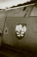 Asisbiz Messerschmitt Bf 109E with a mystery Edelweiss variation emblem similar to KG51 eBay 01