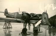 Asisbiz Messerschmitt Bf 109E1 unknown unit Red 8 early 1939 eBay 02