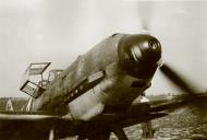 Asisbiz Messerschmitt Bf 109E4Trop StG3 Gerhard Stemmer North Africa eBay1
