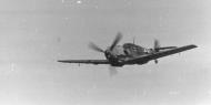 Asisbiz Messerschmitt Bf 109E7 unknown Stab JG unit with Strich markings in flight eBay 01