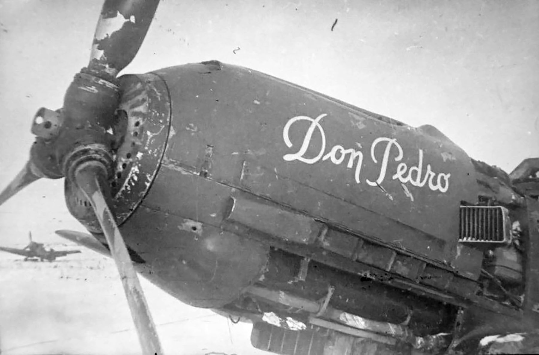 Messerschmitt Bf 109E3 FARR Yellow 48 Don Pedro near Stalingrad 1942 02