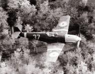 Asisbiz Messerschmitt Bf 109E3 FARR 7 Grupul Yellow 37 flying at tree height Romania 1941 01
