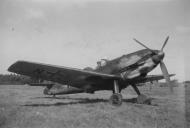 Asisbiz Messerschmitt Bf 109E 6.JG103 Jagdgeschwader 103 Stkz NL+xx eBay 01