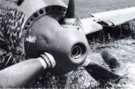 Asisbiz Messerschmitt Bf 109E3 1.JG2 White 5 Paul Temme force landed Flanders France May 1940 09
