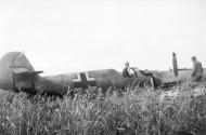 Asisbiz Messerschmitt Bf 109E3 E7 2.JG2 Black outline 4 force landed Cap Gris Nez France 1940 eBay 01