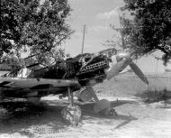 Asisbiz Messerschmitt Bf 109E1 ErgGr JG2 Black 11 location unknown 1941 ebay 01