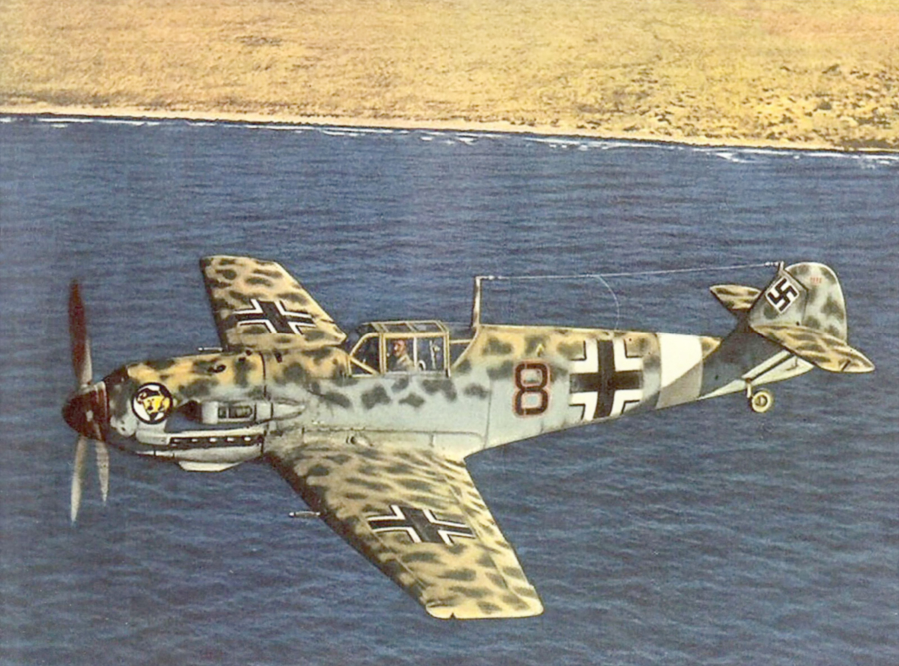 Messerschmitt Bf 109E7Trop 2.JG27 Black 8 Franz Elles Libya 1941 01