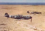 Asisbiz Messerschmitt Bf 109E7Trop 1.JG27 White 3 and 8 on low level patrol over Libya Feb 1942 01