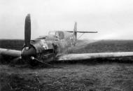 Asisbiz Messerschmitt Bf 109E7 7.JG27 White 5 force landed Staraya Russia 1941 eBay 03