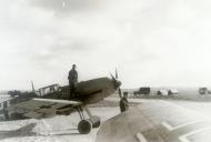 Asisbiz Messerschmitt Bf 109E7 II.JG3 possibly Black 8 supposedly at St Omer France eBay 01