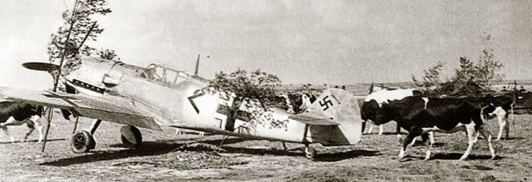 Messerschmitt Bf 109E4 Stab JG3 Chevron France 1940 01