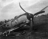 Asisbiz Messerschmitt Bf 109E1 4.JG52 White 4 belly landed France early 1940 02