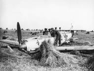 Asisbiz Messerschmitt Bf 109E1 5.JG52 Red 14 Leo Zaunbracher WNr 3367 shot down Lewes 12th Aug 1940 03