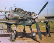 Asisbiz Messerschmitt Bf 109E1 Red 14 may belong to 5.JG52 but not Leo Zaunbracher aircraft 1940 01