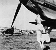 Asisbiz Messerschmitt Bf 109E1 9.JG52 Yellow 12 Pipera Romania Sep 1941 02