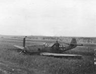 Asisbiz Messerschmitt Bf 109E 9.JG53 Yellow 1x belly landed unknown location eBay 01