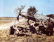 Asisbiz Messerschmitt Bf 109E3 8.JG53 Black 3 Guernsey Channel Islands Jul 1940 01