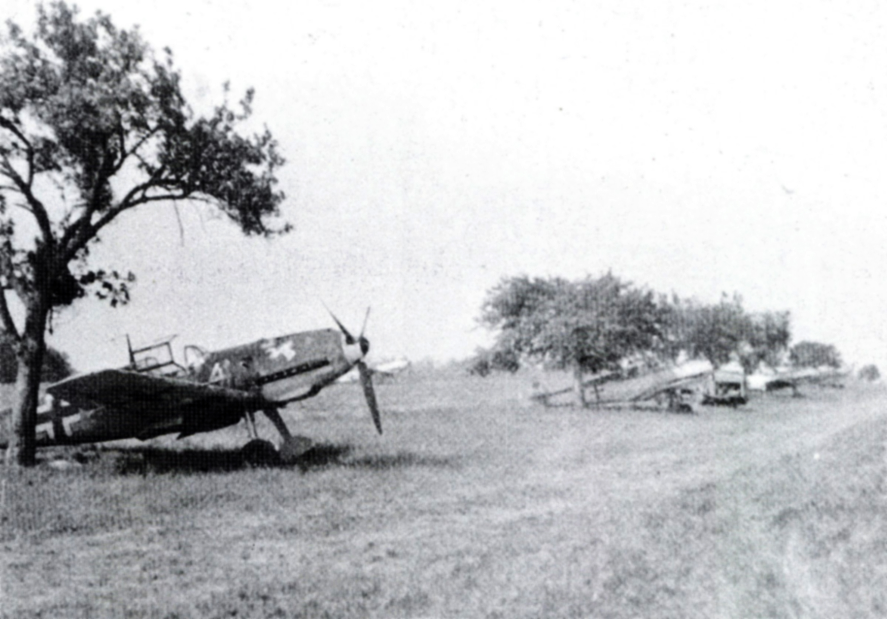 Messerschmitt Bf 109E7B 7.JG54 White 4 Guines Sud Holland 1940 01