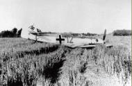 Asisbiz Messerschmitt Bf 109E 9.JG54 Yellow 12 belly landed France May June 1940 01