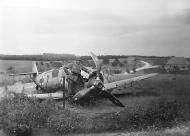 Asisbiz Messerschmitt Bf 109E1 2.JG76 Red 7 force landed France June 1940 02