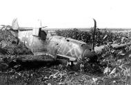 Asisbiz Messerschmitt Bf 109E4 4.JG77 White 3 belly landed Greece 1941 01
