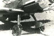 Asisbiz Messerschmitt Bf 109E4B 7.JG77 Triangle White D ex1.LG2 with 4x50kg bombs Molaoi Greece May 1941 01