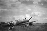 Asisbiz Messerschmitt Bf 109E7B ErgGr JG77 White 10 Ukraine 1942 01