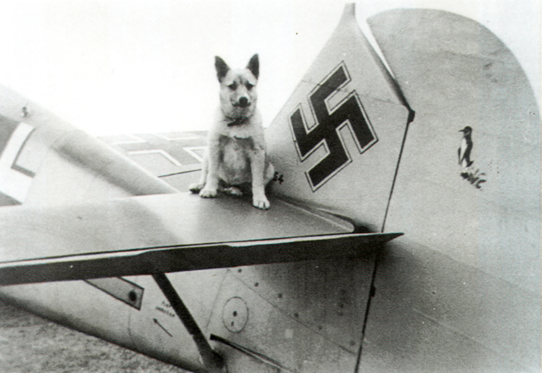Messerschmitt Bf 109E 6.JG77 showing a small emblem WNr xx54 Norway 1940 01