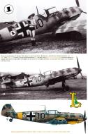 Asisbiz Messerschmitt Bf 109E4B 2.(J)LG2 Black 10 WNr 2060 Tudora Botosani Romania Jun 1941 Avions 190 P26