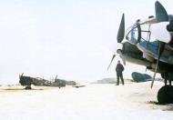 Asisbiz Messerschmitt Bf 109E7 1.(J)LG2 White 4 Nikolajew or Mariupol Ukraine 1941 42 01