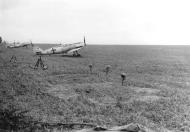 Asisbiz Messerschmitt Bf 109E3 1.(J)LG2 White 5 at Cambrai France June 1940 eBay 01
