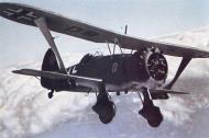 Asisbiz Henschel Hs 123 StG1 Stkz DS+UC in flight eBay 01