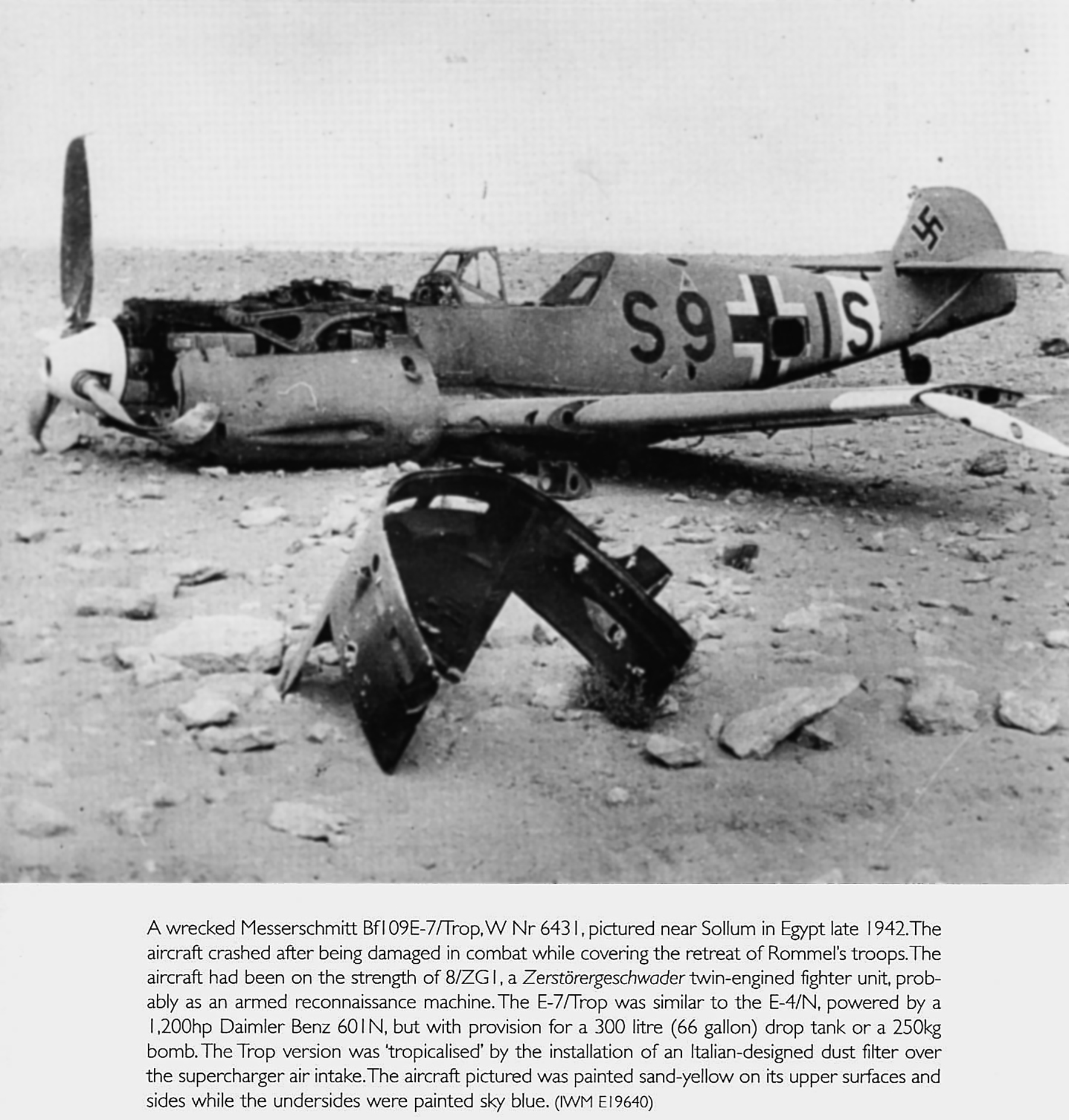 Messerschmitt Bf 109E7BTrop 8.ZG1 S9+IS WNr 6431 crash landed Sollum Egypt Nov 1942 01