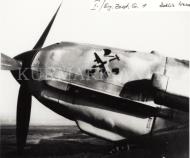 Asisbiz Messerschmitt Bf 109 1.ErgZGr1 Poland Deblin emblem eBay 01