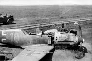 Asisbiz Messerschmitt Bf 109E7 8.ZG2 Red 10 Voronej June 1942 eBay 02