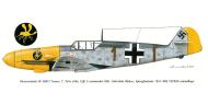 Asisbiz Messerschmitt Bf 109F2 9.JG2 Brown 1 Karl Hans Roders WNr 6764 France 1941 0A