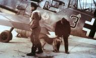 Asisbiz Messerschmitt Bf 109E7 8.JG5 Black 3 Hermann Segatz Petsamo Finland 1940 01