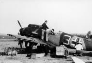 Asisbiz Messerschmitt Bf 109F4 6.JG5 Yellow 3 Rudolf Muller WNr 10073 Petsamo Finland 1943 10