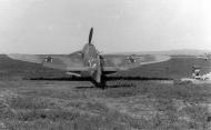 Asisbiz Messerschmitt Bf 109F4 JG52 Yellow 13 wing camouflage profile view 1942 01