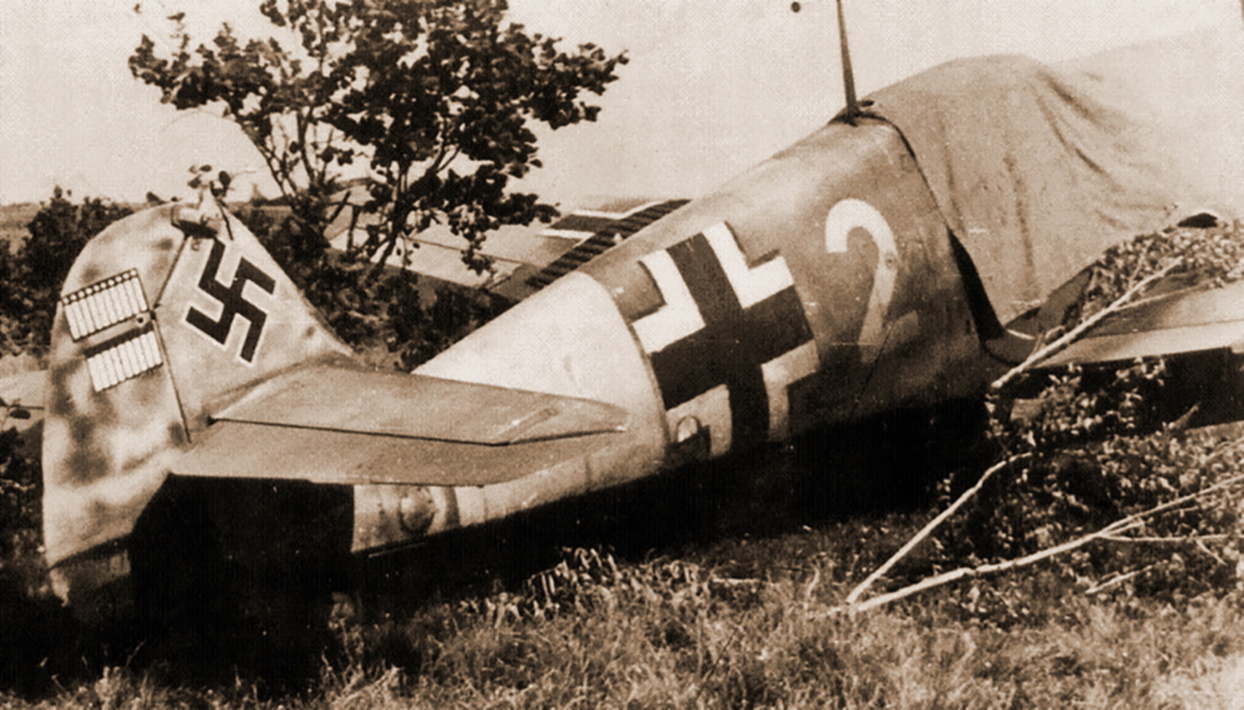 Messerschmitt Bf 109F2 7.JG53 White 2 Hermann Neuhoff WNr 6702 July 1941 02